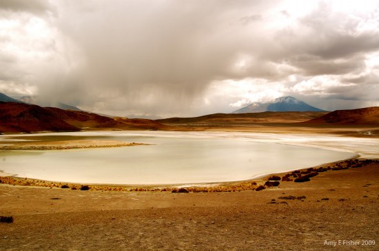 Amy Fisher's travel photo of the week - Bolivia