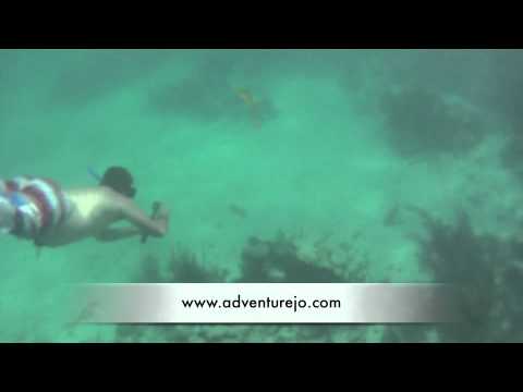 Snorkeling Tour to Akumal and Cenote Dos Ojos Caves – Tulum Mexico