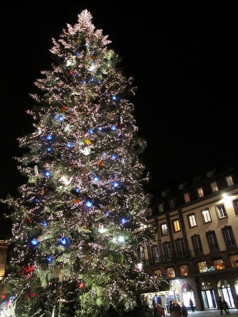 Christmas_Tree_Strasbourg